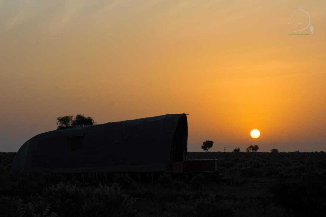 Amanya 1 -Bed King Lion Tent Amboseli Eksteriør billede
