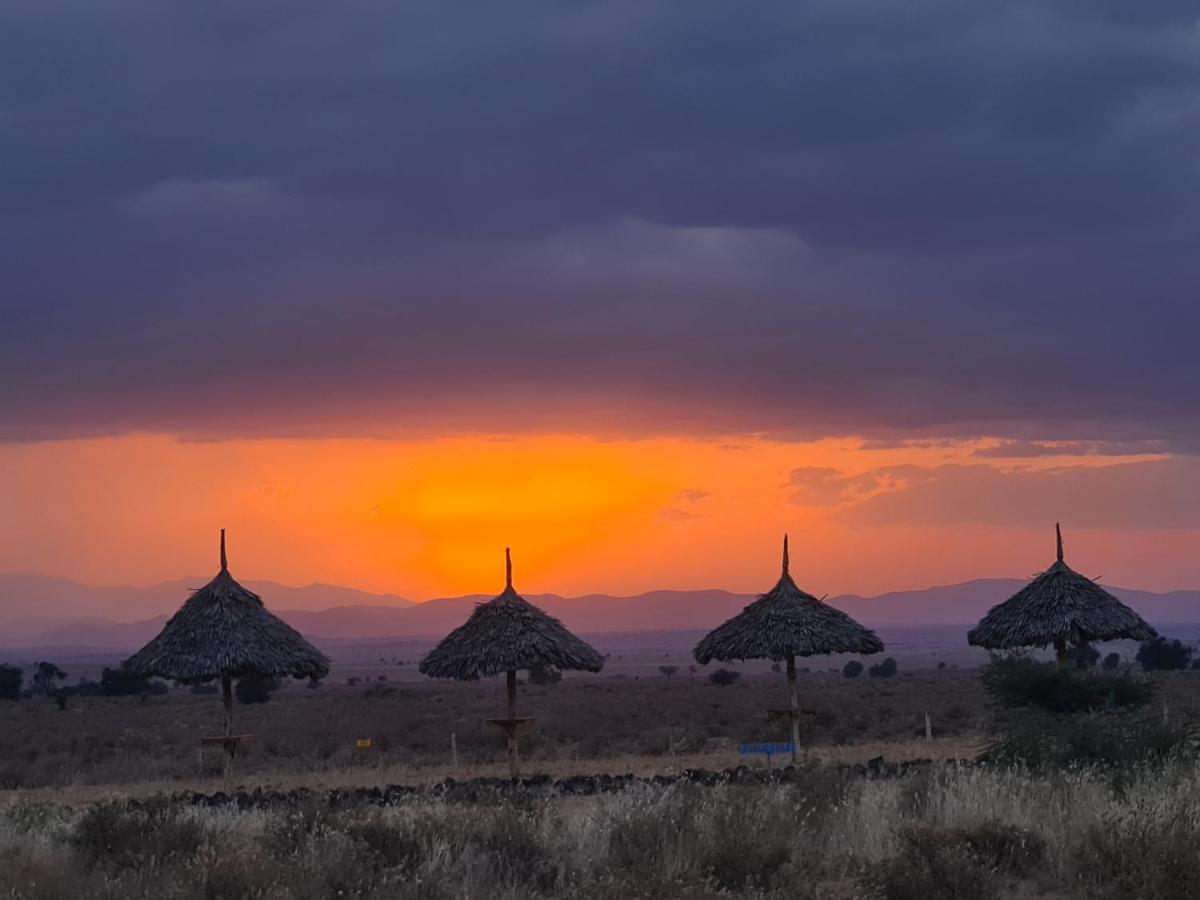 Amanya 1 -Bed King Lion Tent Amboseli Eksteriør billede