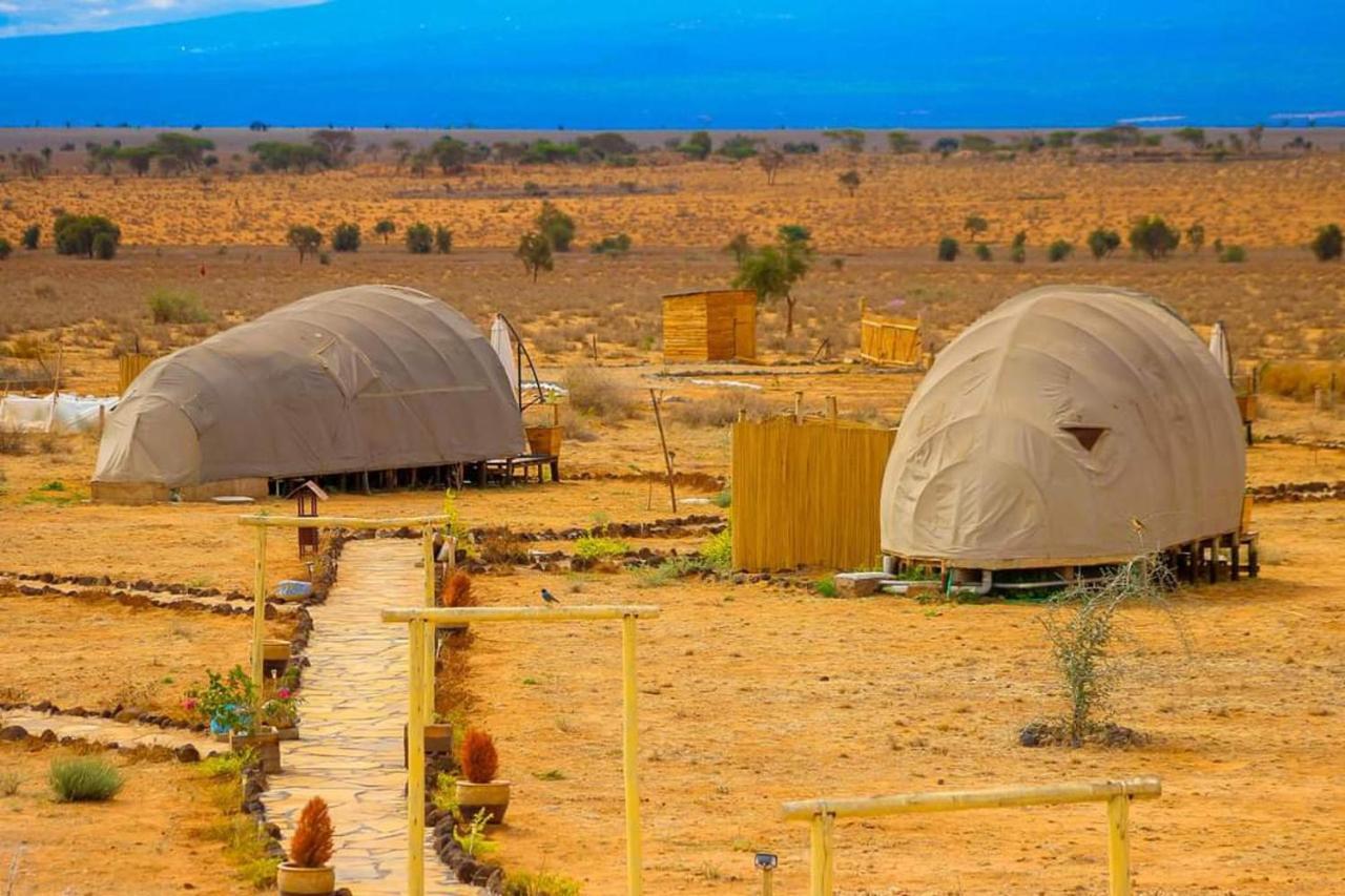 Amanya 1 -Bed King Lion Tent Amboseli Eksteriør billede